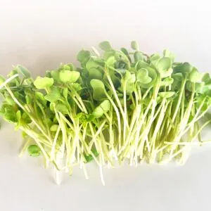Microverde Rabanete 50g