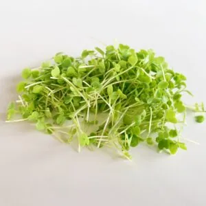 Microverde Rúcula 50g